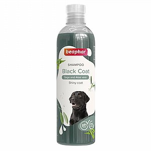 ���� ����� ��� ���� ���� 250 �'�