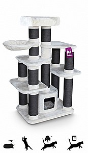 Lucky Bastards Skyline 153 Cream