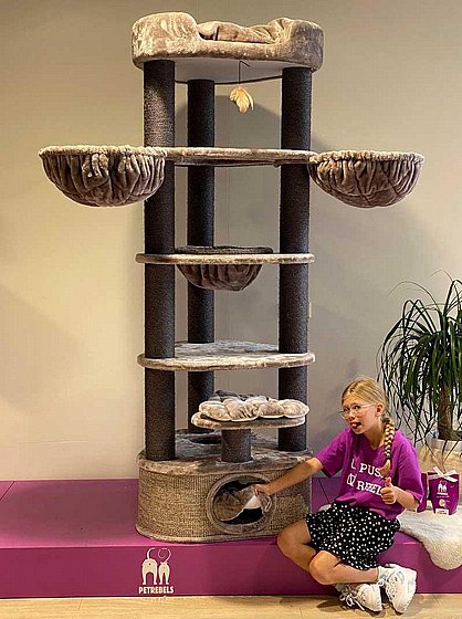 ���� ����� KINGS & QUEENS CATHARINA 200 CAPPUCCINO 1/2