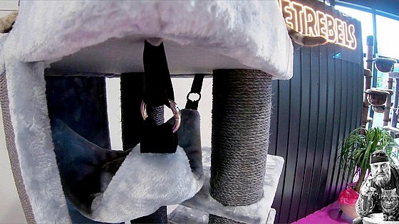 ���� ����� LUCKY BASTARDS AVENUE 134 GREY 1/2