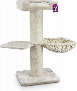 ���� ����� ������� ������ Petrebels Maine Coon 117 - ���, ���� 117 �"�