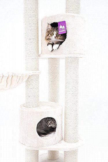 ���� ����� KINGS & QUEENS CHARLOTTE 180 CREAM 1/2