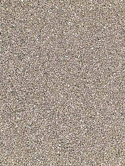 ��� ����� PetRebels ��� ��� 10 �"� 