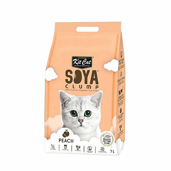 ��� Soya ��� ������� ����� ������ ����� 7 ����