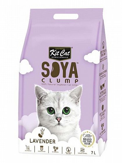��� Soya ��� ������� ����� ������ ������ 7 ����