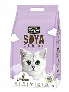 ��� Soya ��� ������� ����� ������ ������ 7 ����