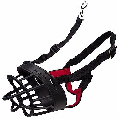 �������� ������ �� 3