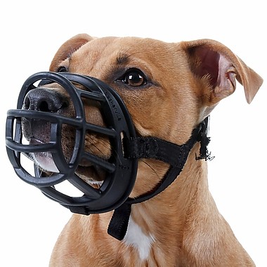 �������� ������ �� 3