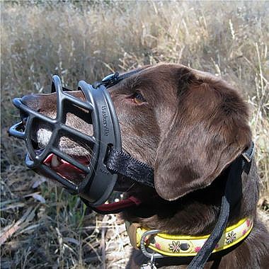 �������� ������ �� 3