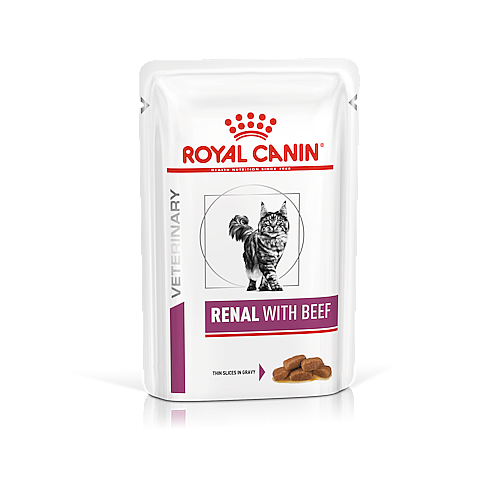 ����� ����  royal canin -���� ���� ���� ��� ����� 100 ���