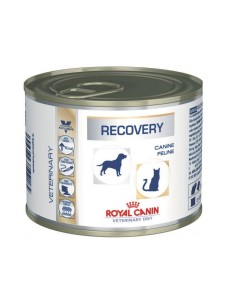 ����� ����  royal canin -������ ���\���� ����� 195 ���