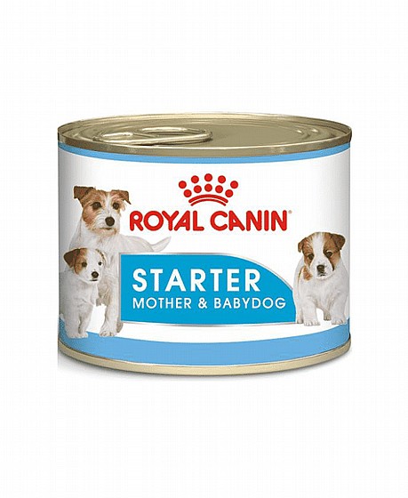 ����� ���� royal canin ����� ��� ������ ������ ���� ����� ����� �� �������