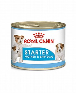 רויאל קנין royal canin שימור כלב סטארטר לכלבות הרות וגורי כלבים עד חודשיים רויאל קנין royal canin שימור כלב סטארטר לכלבות הרות וגורי כלבים עד חודשיים
