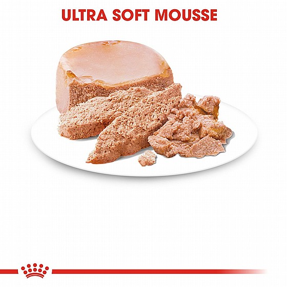����� ���� royal canin ����� ��� ������ ������ ���� ����� ����� �� �������