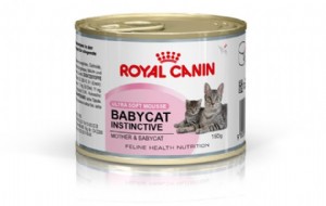רויאל קנין royal canin -שימור רק בייבי קט 195 גרם רויאל קנין royal canin -שימור רק בייבי קט 195 גרם