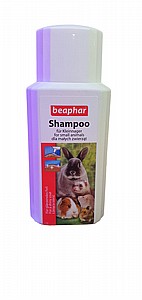 ���� �������� ����� 1 ����� 