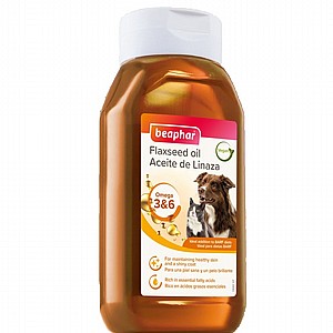 ��� ���� ���� ������ ����� ����� 3&6 ������ ���� �����