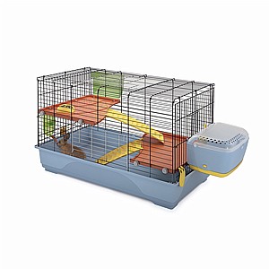 ���� �'���'��� ����� BENNY 100 1 ����� 