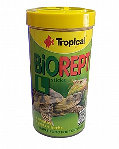 ���� ��� -����� �������