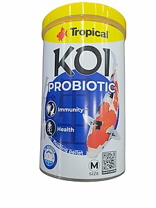 ���� ����� ������� ��� ������ 1 ����� 