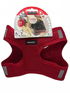 ���� ��� ��� M ����� 42-47 �"�