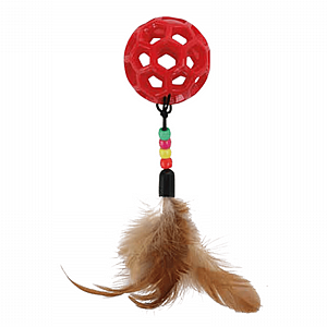 ���� TPR �� ��� ������ ������ ������� - ���� ����