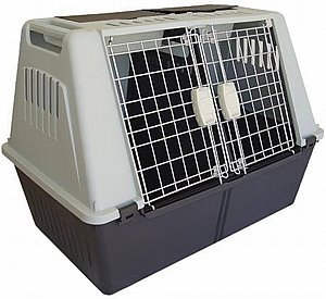 �� ����� ���� ������� ���� - ��� 100 �"�