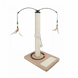 ���� ������ ����������� ������� - ���� ����