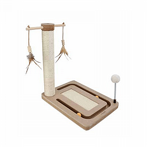 ���� ������ ����������� ������� �� ������ - ���� ���� 