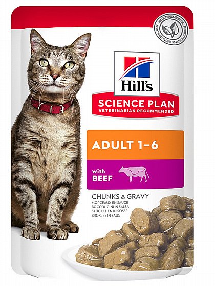 ���� Hills ����� ��� ����� 85 ���