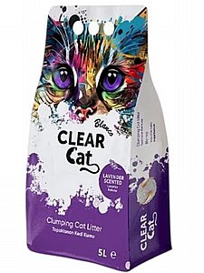 ��� ������ Clear Cat ���� ������ 5 ���� 