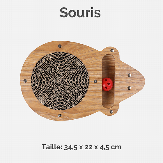 ���� ���� ������ ������� ���� Souris 215557