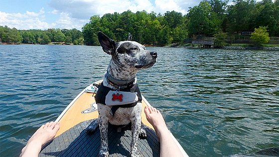 ����� ���� ���� �������� ���� ���� L ����