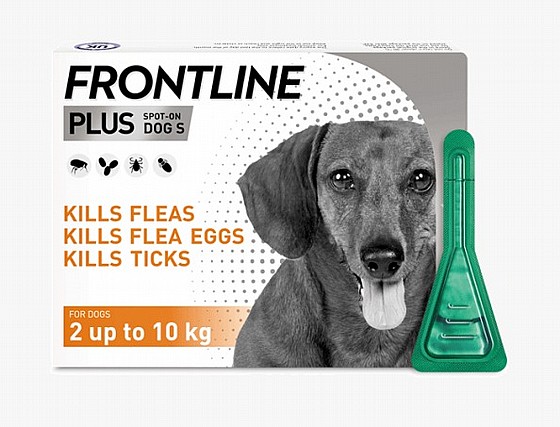 ��������� Frpntline Plus - ������ ������ ���� �� 10 �"� 
