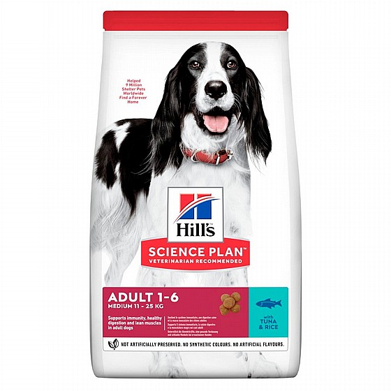 ����� - Hills ���� ��� ������ ���� ������ ���� ���� ����� 12 �"�