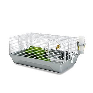 ���� ���� MARTHA ����� ����� 