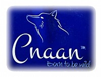 Cnaan